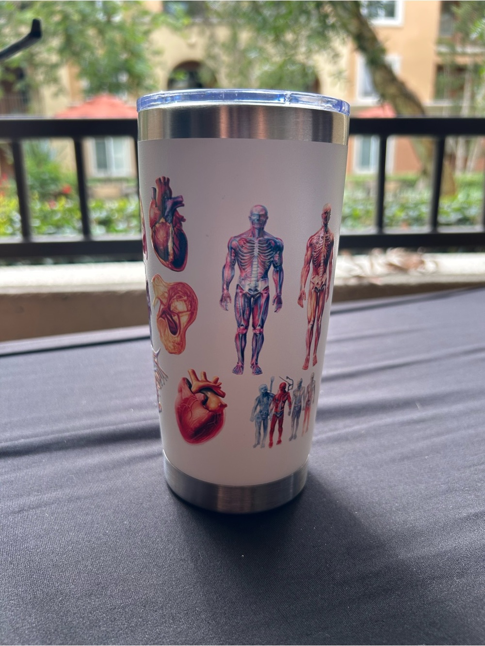 Anatomy Body Science 20oz Tumbler Stainless Steel White Multicolor